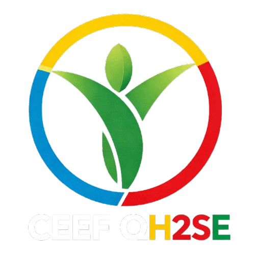 Logo CEEF QH2SE